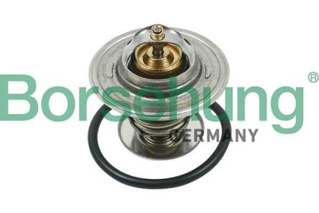 Термостат VW T4/T5/Audi A3/A6 1.9D/1.9/2.0TDI/2.0 90- (от 87 до102 °C) (OE VAG) Borsehung B13141