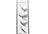 Щетка стеклоочистителя (475/450mm) Mini 09- (бескаркасные) BOSCH 3 397 007 856 (фото 10)