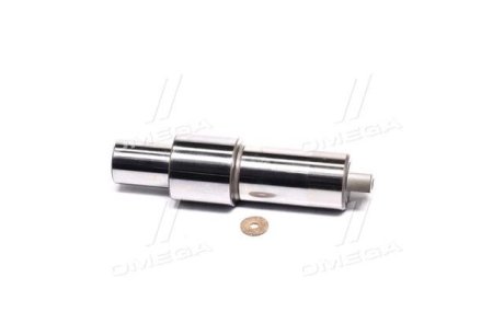 Элемент насоса Common Rail BOSCH F00N203133