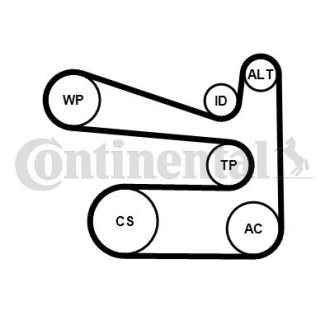 Комплект пасу поліклинового з насосом VW Caddy III Contitech 6PK1693WP1