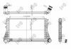 Радіатор інтеркулера а PASSAT/TIGUAN 1.4-2.0 05- DEPO 053-018-0013 (фото 1)