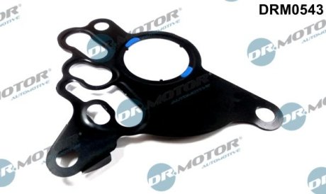 Прокладка топливного насоса Audi A3, A4, Skoda Octavia, VW Golf, Jetta, Passat, Touran 2,0TDi 04-13 DR.MOTOR DRM0543