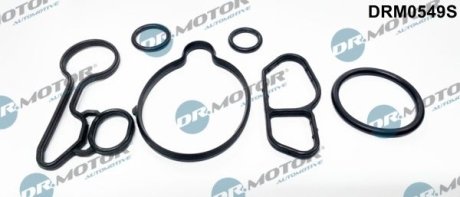 Комплект прокладок DR.MOTOR DRM0549S