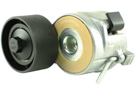 Натяжник поліклинового паска Citroen/Peugeot/Fiat 1.4HDi, 1.6HDi/D Multijet, 2.2HDi 09.01- FAST FT44627