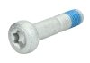 Болт (з шліцем типу Torx) FEBI BILSTEIN 24385