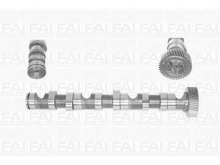 Распределительный вал WV Passat4/ 97-05Audi A4,A6/ 99-03Skoda Super B Fischer Automotive One (FA1) C247