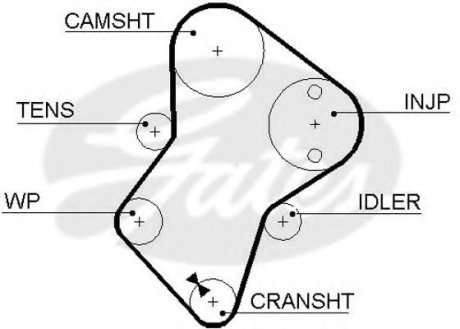 (8595-1) Ремінь ГРМ Gates 5049