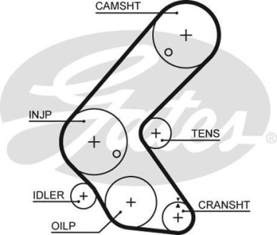 (8597-15679) Ремінь ГРМ XS Gates 5679XS