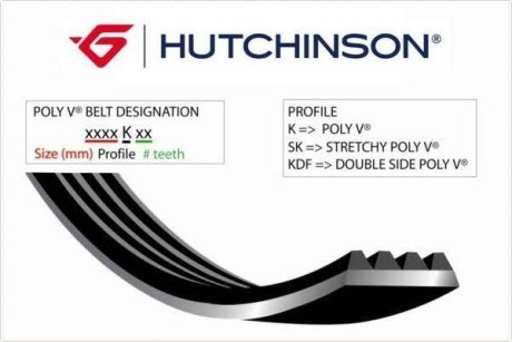 Ремень генератора MB G/GL/ML/S (W221) 3.0TD 06-09 HUTCHINSON 2040K8