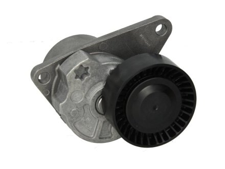 Натяжитель ремня генератора Volvo C70/S40/S60/S70/S80/V40/V70 -07 INA 534 0103 10