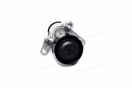 Натяжитель ремня генератора Audi A4/A6/VW Caddy IV 2.0 TDI 15- INA 534 0552 10