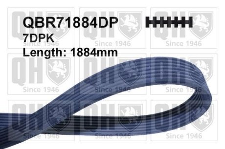 РЕМІНЬ КЛИНОВИЙ QUINTON HAZELL QBR71884DP