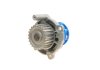 Помпа води Audi A4/A6/Seat Leon/Skoda Octavia/VW Golf IV-VI/Passat B5/B6 1.6-2.0 94- SKF VKPC 81220 (фото 2)