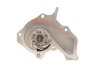 Помпа води Ford Fiesta IV/V/Focus/Fusion/Mazda 2/Volvo S40 II/V50 1.25i-1.6 16V 03-12 SKF VKPC 84215 (фото 2)