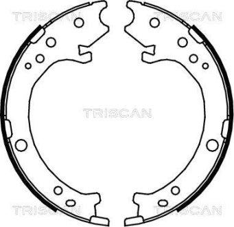 Комплект гальмівних колодок, Стоянкове гальмо TRISCAN 810040007