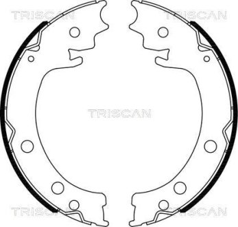 Комплект гальмівних колодок, Стоянкове гальмо TRISCAN 810069006