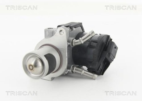 Клапан EGR BMW 1 E81/F20, 3 E90/F30, 5 F10, 5 E60, 3 F25, X5 E70 2.0d/3.0d 10.07- TRISCAN 881311001