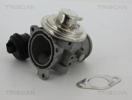 Клапан EGR Ford/VAG 1.9Tdi 00- TRISCAN 881329057