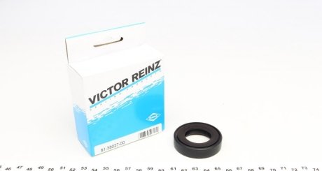 Кольцо уплотнительное REINZ VICTOR REINZ 81-38027-00